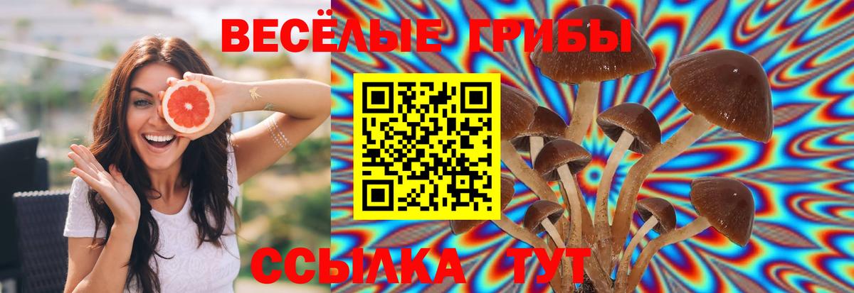 цена   Галлюциногенные грибы Cubensis  Вход с VPN  Тверь 